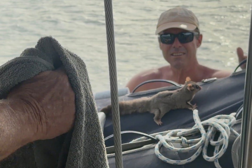 A sugar glider on a boat with a man in the background