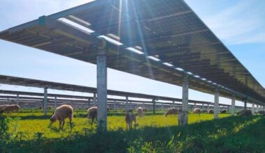 Middle East War Reignites the Energy Transition