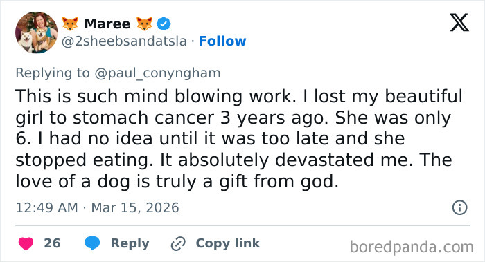IT Guy Goes Down In History After Using ChatGPT And His Dog’s DNA To Create A Cancer Cure For Her IT Guy Goes Down In History After Using ChatGPT And His Dog’s DNA To Create A Cancer Cure For Her