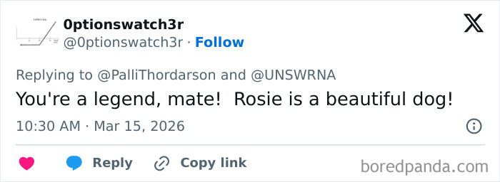 IT Guy Goes Down In History After Using ChatGPT And His Dog’s DNA To Create A Cancer Cure For Her IT Guy Goes Down In History After Using ChatGPT And His Dog’s DNA To Create A Cancer Cure For Her