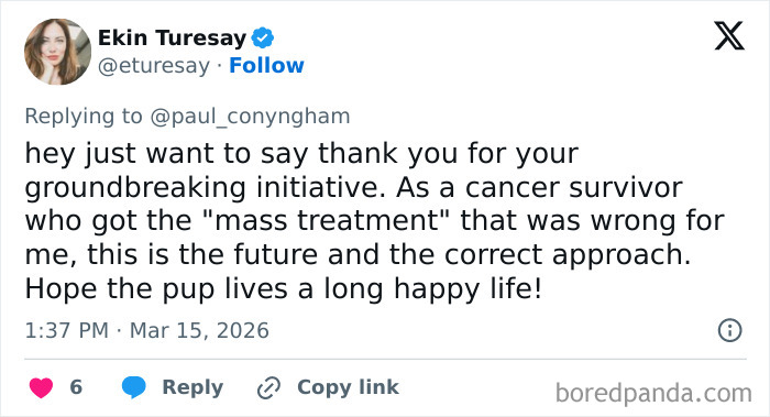 IT Guy Goes Down In History After Using ChatGPT And His Dog’s DNA To Create A Cancer Cure For Her IT Guy Goes Down In History After Using ChatGPT And His Dog’s DNA To Create A Cancer Cure For Her