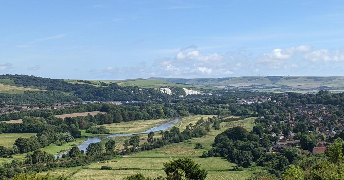 'Extinct' Large Tortoiseshell butterfly spotted in Sussex