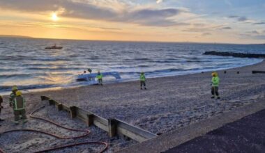 Miracle escape for West Sussex pilot after plane crash