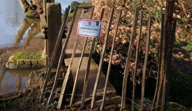 Wellington footpath closed as swans nesting in the area