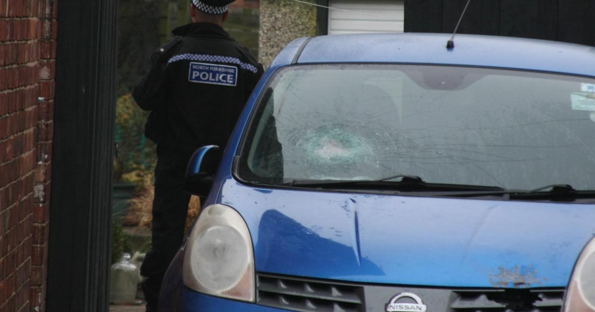 Car shot while parked outside Starkey Crescent home