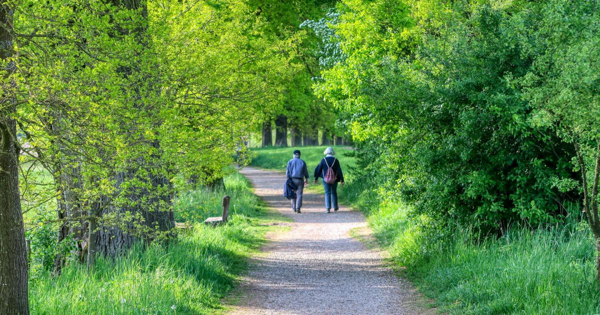 Things we should be doing to boost health and live longer