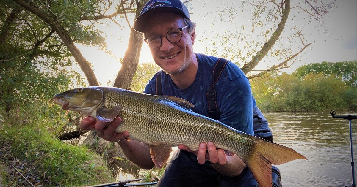 Test and Itchen river pollution worsening says new report