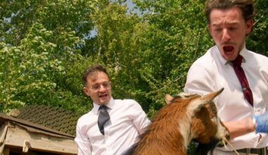 Isle of Wight the star in frantic Apprentice TV challenge