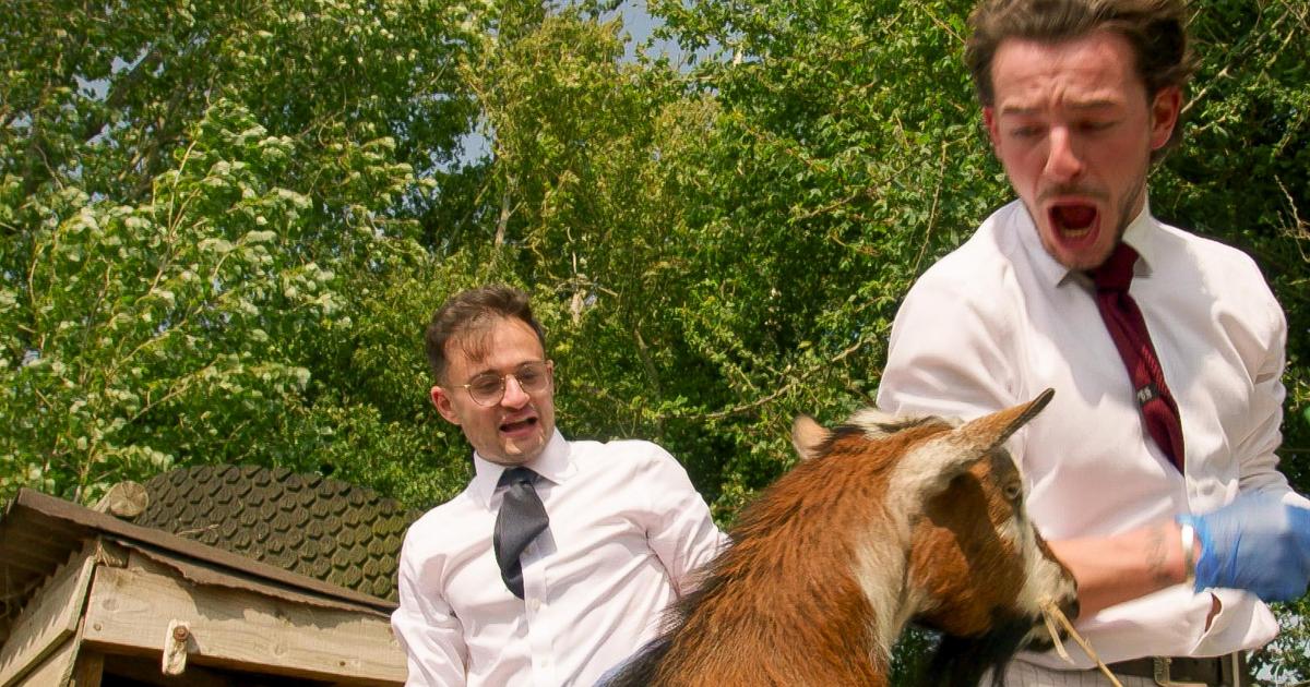 Isle of Wight the star in frantic Apprentice TV challenge