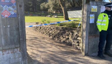 Community shock as woman arrested over park murder