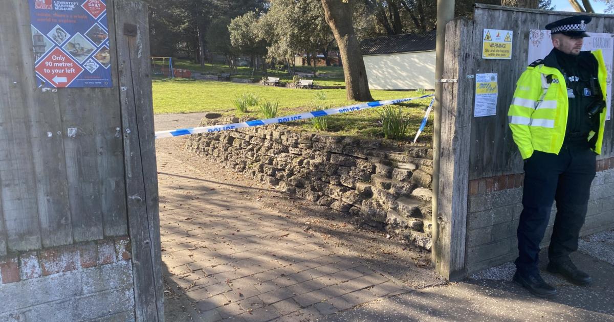 Community shock as woman arrested over park murder