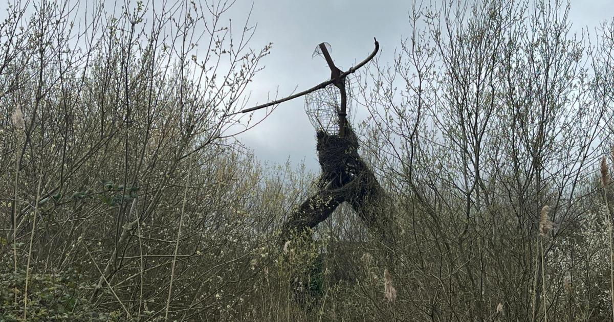 Bridgwater's Willow Man - what's next for the loved sculpture?