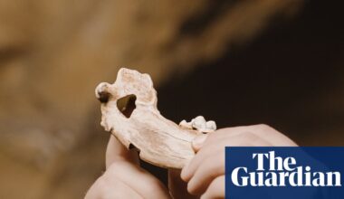 Bond between dogs and humans dates back more than 15,000 years, study finds | Animal behaviour