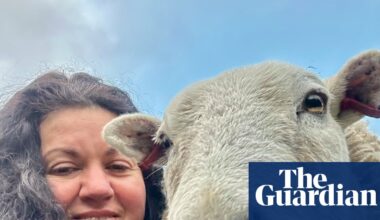 The pet I’ll never forget: Merlin the therapy sheep | Animals