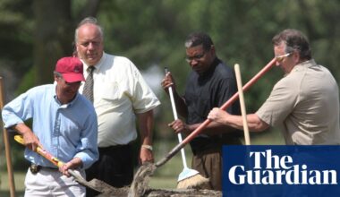 How a clump of moss helped convict grave robbers in Illinois | Science