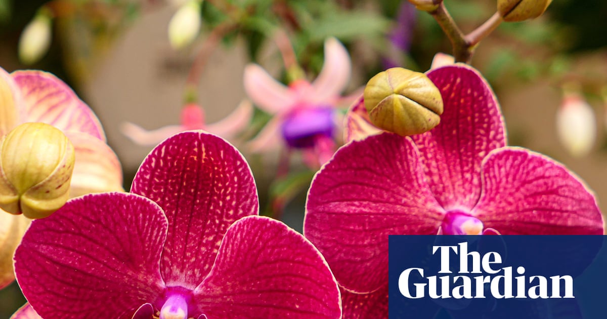 Sex garden to ‘break taboos’ at Chelsea flower show as gnome ban ends | Chelsea flower show