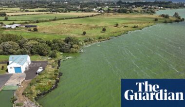 ‘Drinking from a fetid pond’: superbug-creating genes found in UK’s largest lake | Water