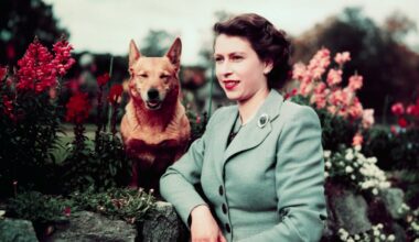 Queen Elizabeth’s favourite dog in danger of being banned