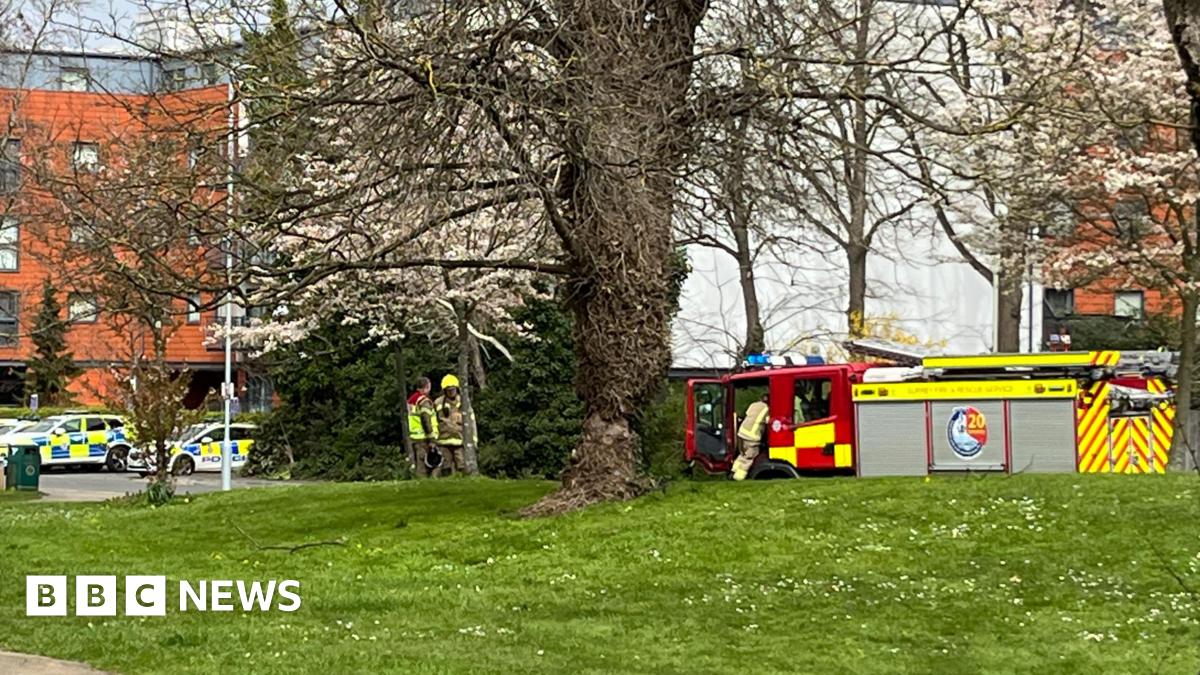 Emergency service vehicles outside a building.