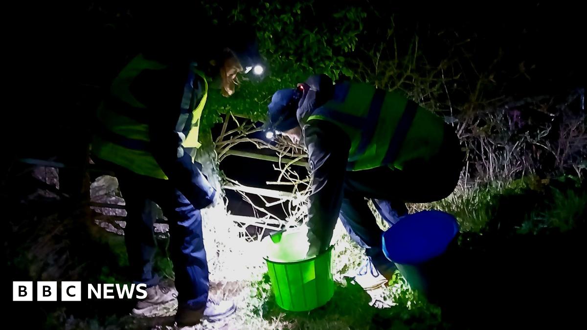 Two people wearing head torches and high vis jackets are looking at a green bucket beside vegetation. one of them has a hand in the bucket.