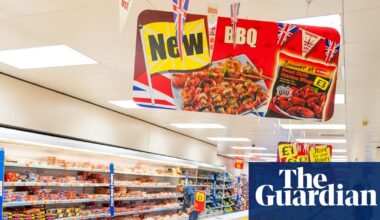 UK supermarket chain Iceland drops trademark dispute with Iceland | Iceland Foods
