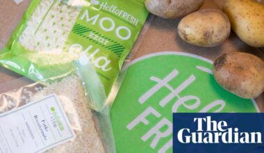 HelloFresh hit by sales slump as people lose appetite for meal kits | Food & drink industry