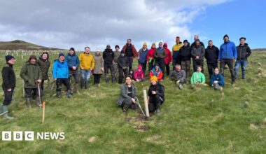 A group of volunteers who plant trees stand for a photo around the final stump of tree they planted.