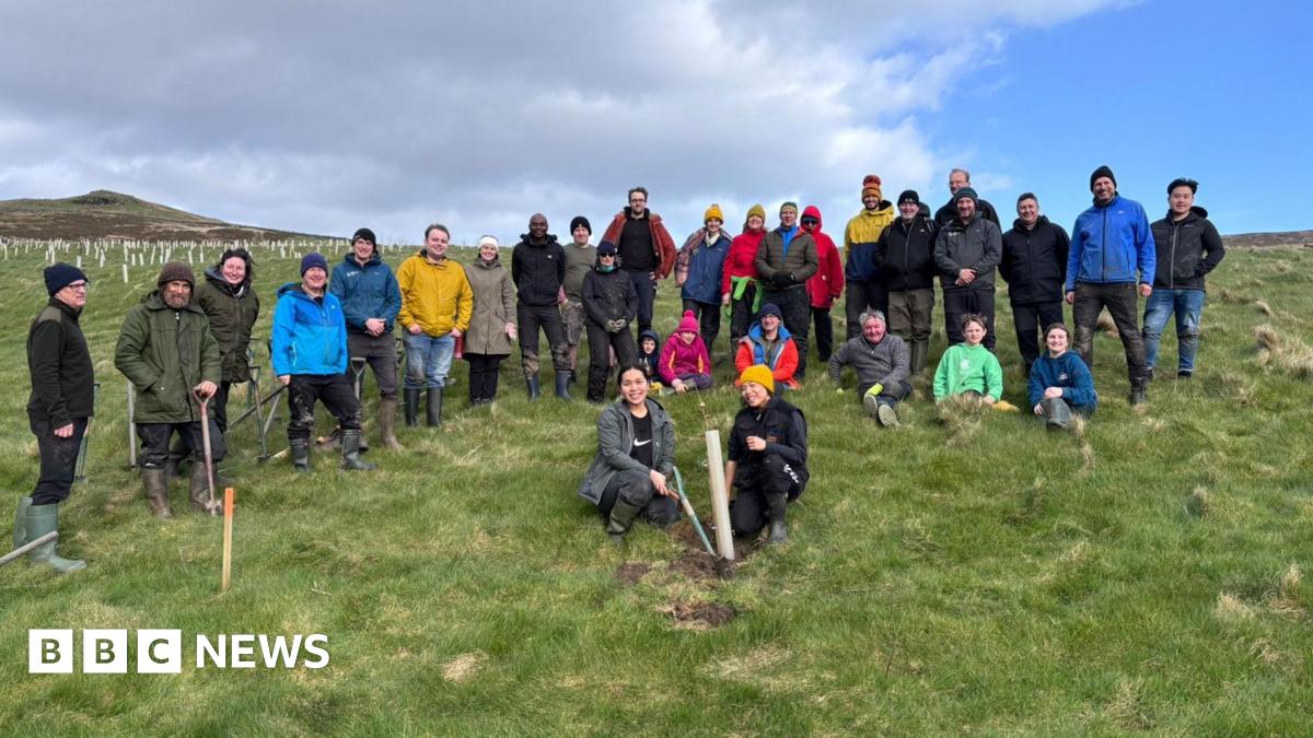 A group of volunteers who plant trees stand for a photo around the final stump of tree they planted.