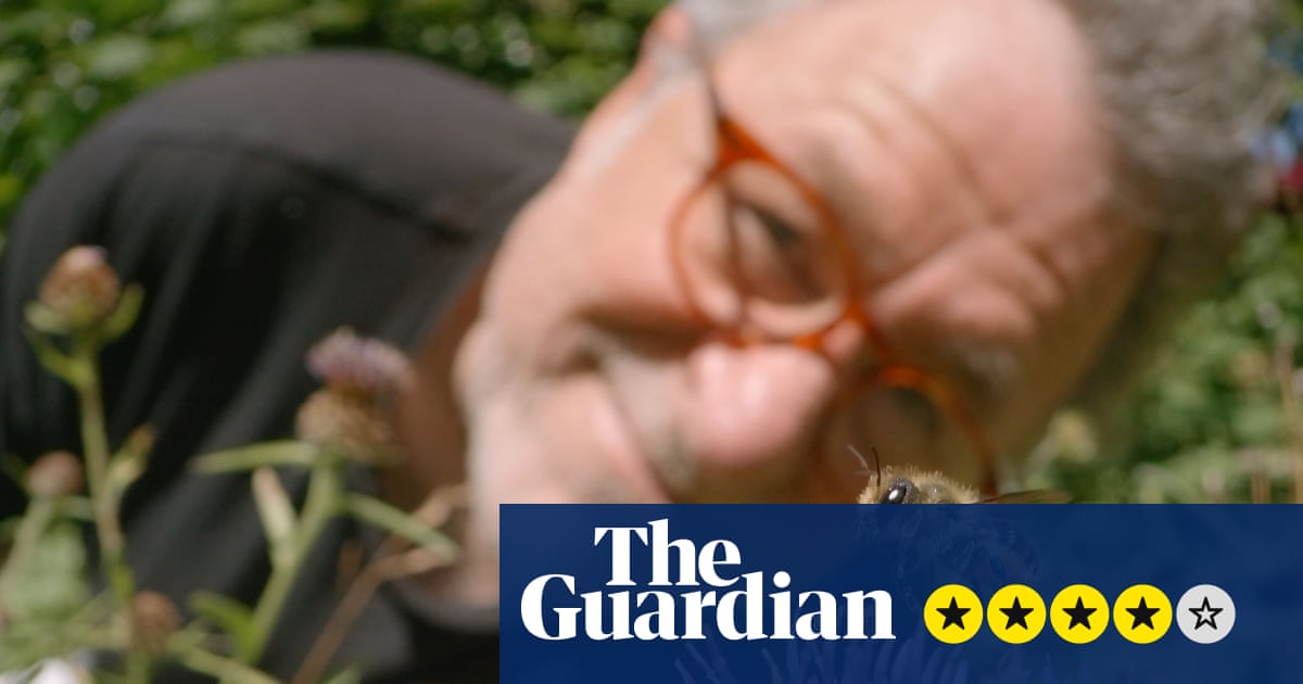 My Garden of a Thousand Bees review – a joyous film on the unbearable lightness of bee-ing | Television & radio