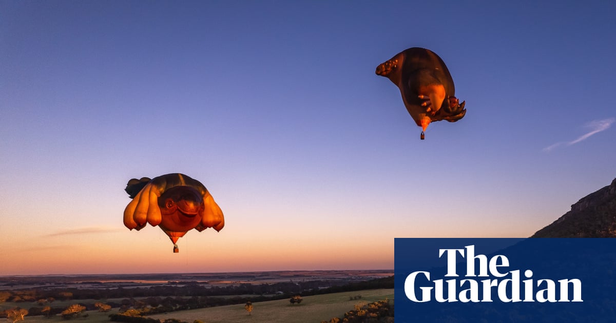 ‘They become part of people’s identity’: how Australia fell in love with the Skywhales | Australian art