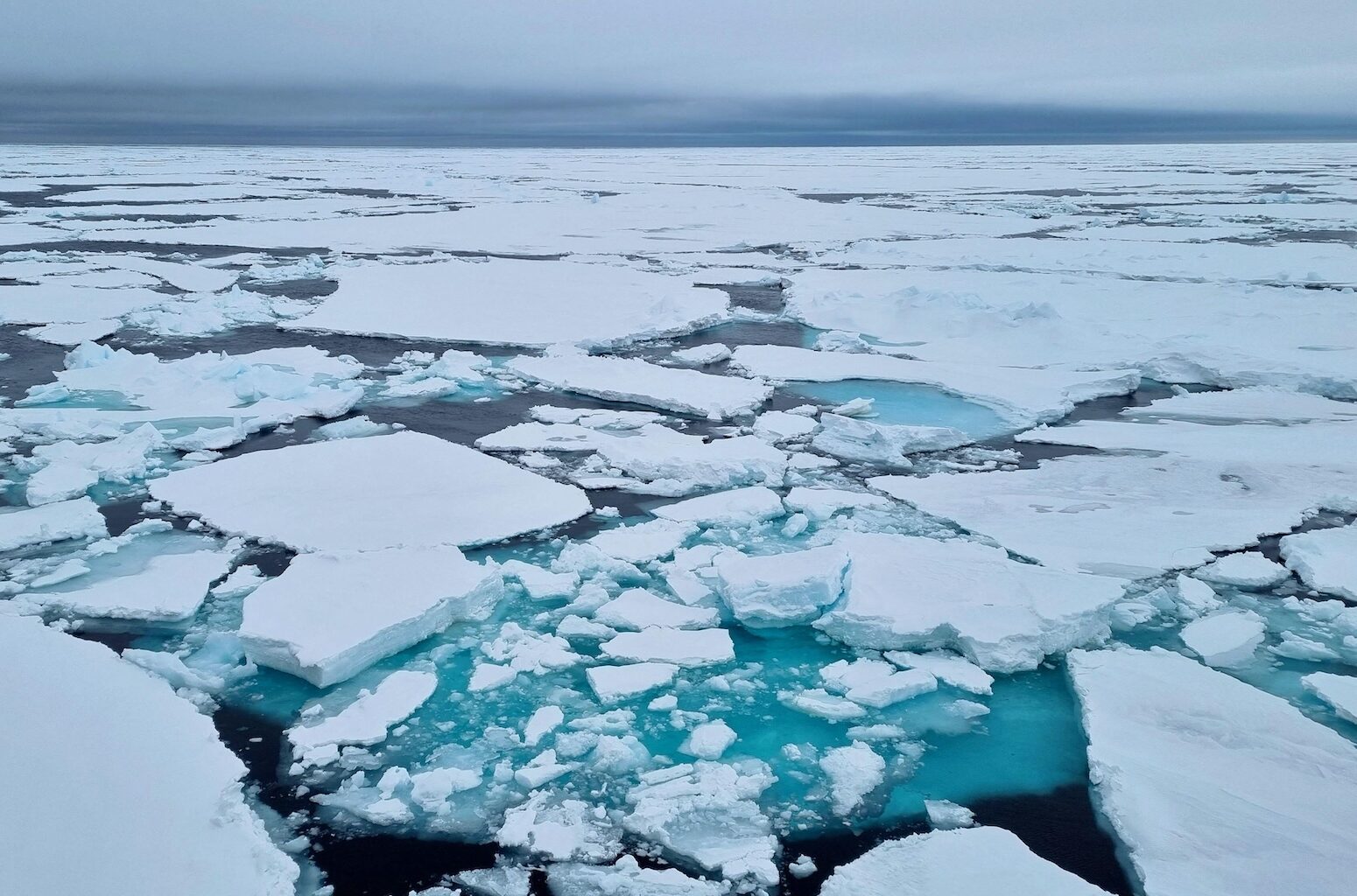 ‘Very alarming’ winter sees Arctic sea ice hit record-low for second year running