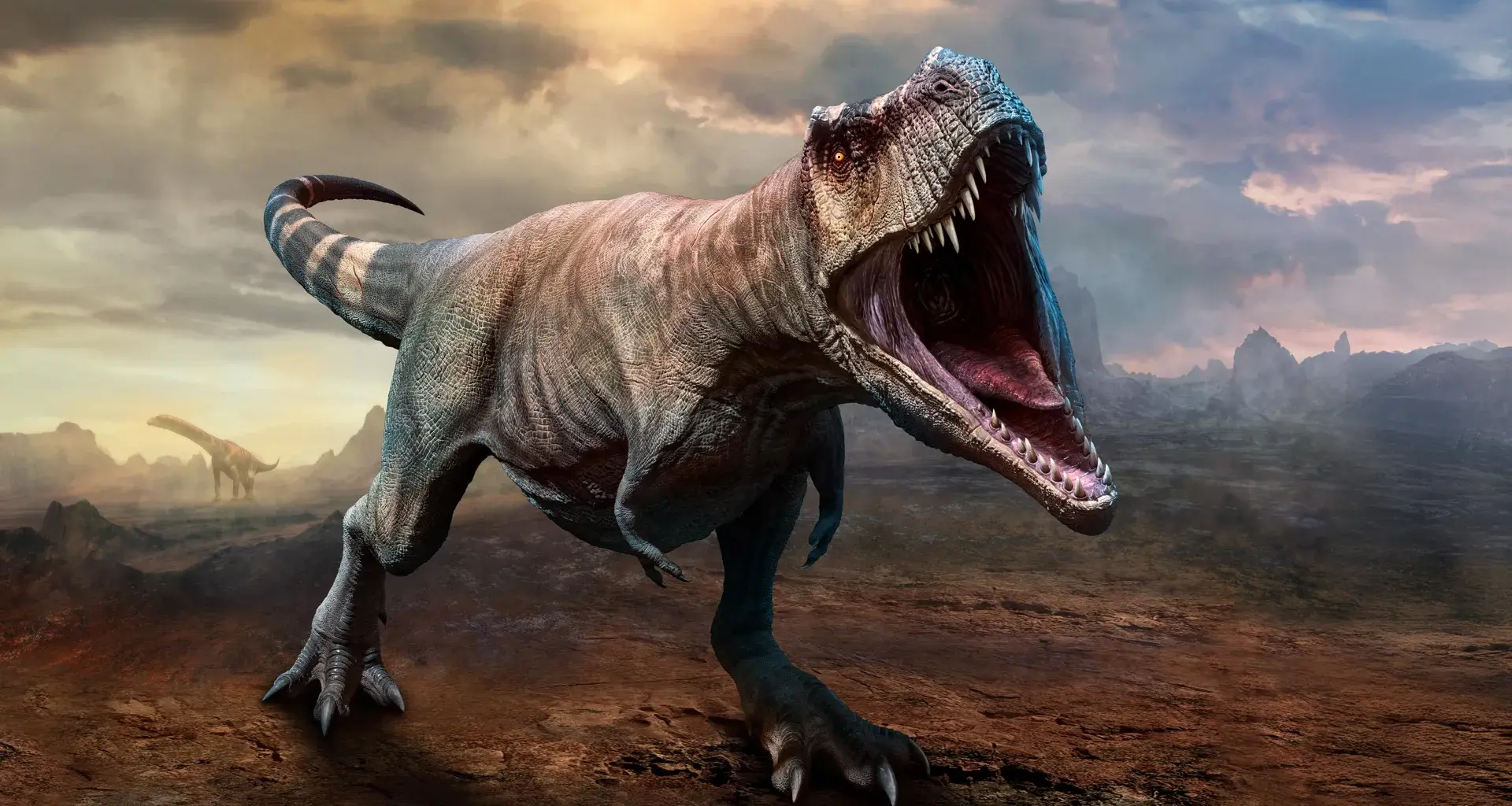 T. rex took 40 years to reach full size, study finds