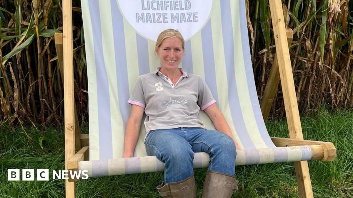 A drone photograph shows a large rectangular maize maze seen from directly above, with intricate winding paths cut into bright green crops. The design features elaborate swirling patterns and what appear to be animal shapes carved into the field. The maze is bordered by grass and farmland on all sides.