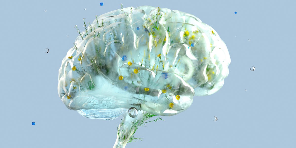 New Research Shows Working Out Is Good For Your Brain — BDNF Study