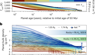 Volatile-rich evolution of molten super-Earth L 98-59 d