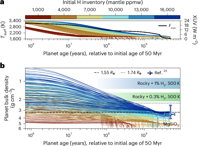 Volatile-rich evolution of molten super-Earth L 98-59 d