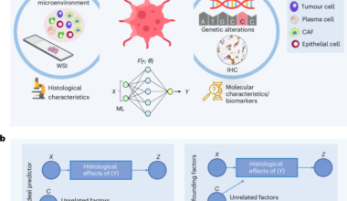 Confounding factors and biases abound when predicting molecular biomarkers from histological images