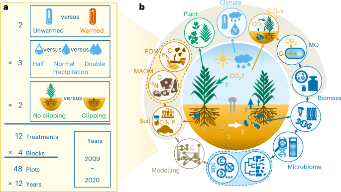 Drought amplifies warming-induced soil carbon loss in a decade-long experiment