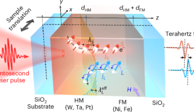 Evidences of subnanometre orbital diffusion length in heavy metals using terahertz emission spectroscopy