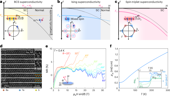 High-field triplet superconductivity in a transition metal dichalcogenide superlattice