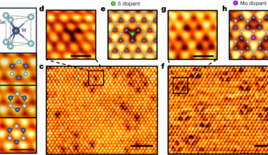 Real-space imaging of the band topology of transition metal dichalcogenides