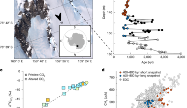 Broadly stable atmospheric CO2 and CH4 levels over the past 3 million years