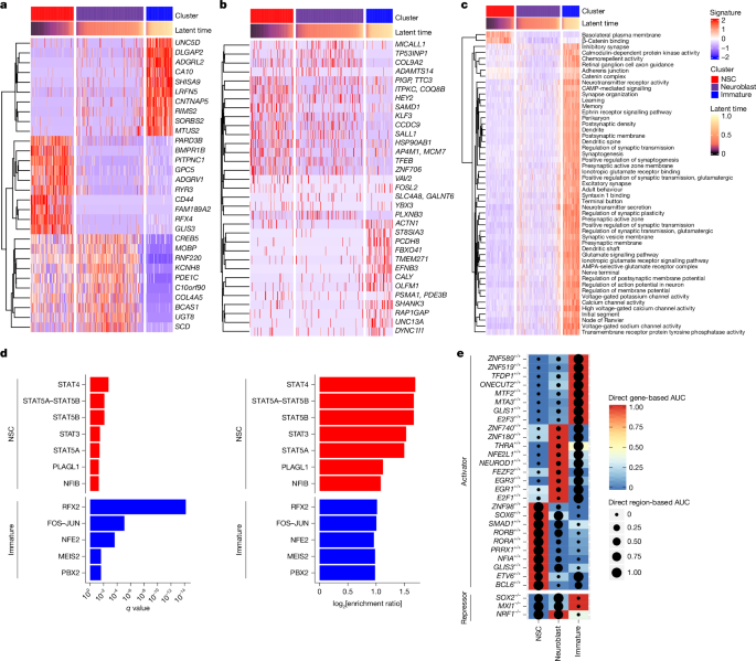 Human hippocampal neurogenesis in adulthood, ageing and Alzheimer’s disease