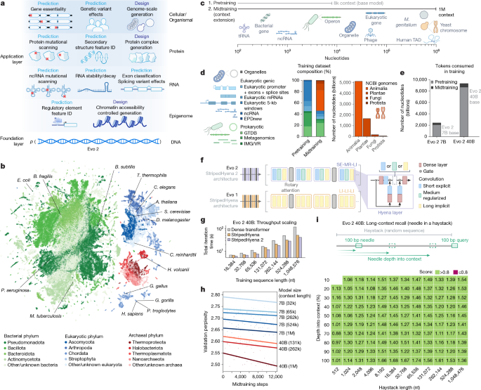 Genome modelling and design across all domains of life with Evo 2