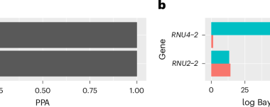 Biallelic variants in RNU2-2 cause the most prevalent known recessive neurodevelopmental disorder