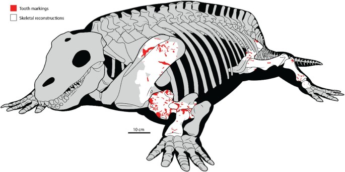 41598 2026 38183 Fig1 Html