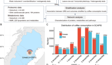 Genetic predisposition to coffee consumption and the association with the early risk of atherosclerosis