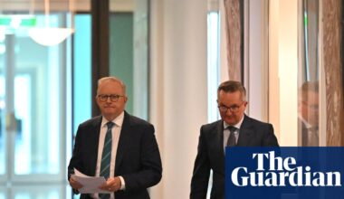 As the fuel crisis worsens and more sectors call for help, Labor must be prepared to make tough choices | Petrol prices