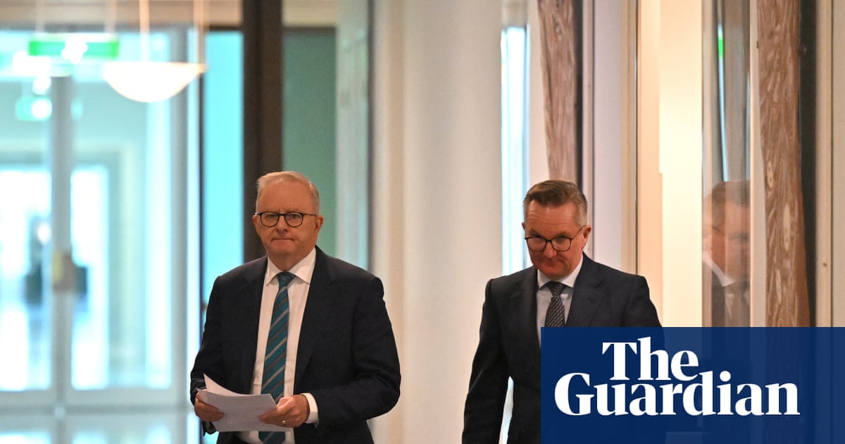 As the fuel crisis worsens and more sectors call for help, Labor must be prepared to make tough choices | Petrol prices