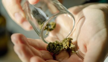 Medical cannabis does ‘more harm than good’ to mental health